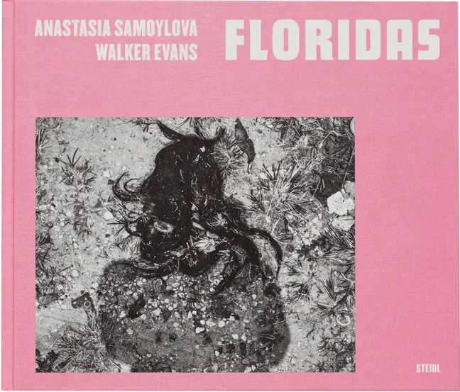Anastasia Samoylova, Walker Evans